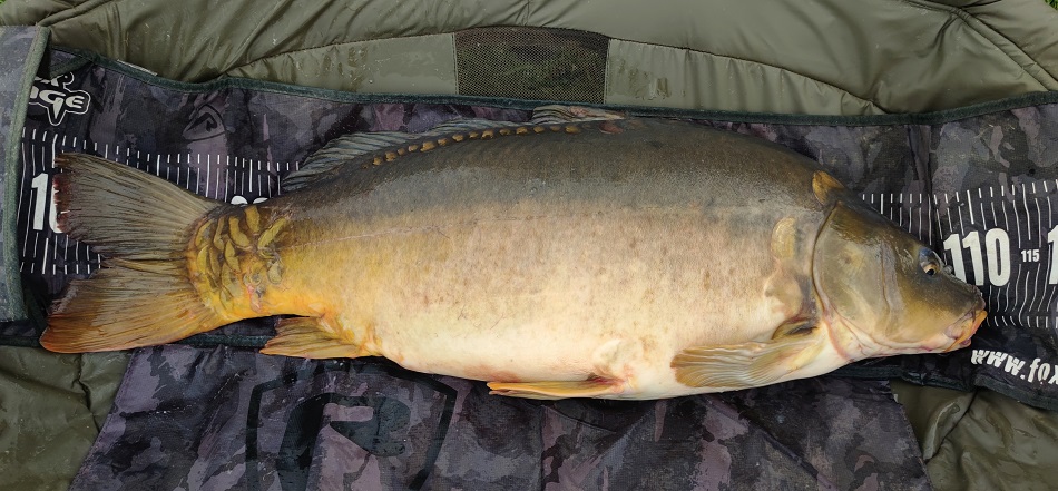 PB Karp