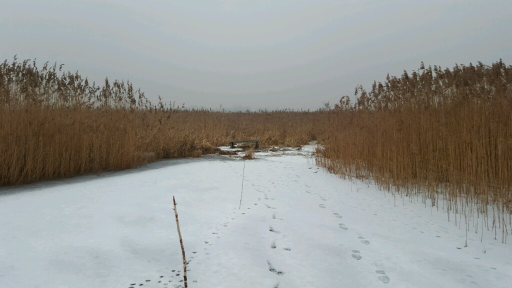 Kozłowa Góra - zima 2016
