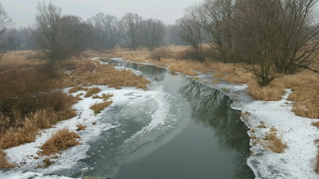 Kozłowa Góra - zima 2016