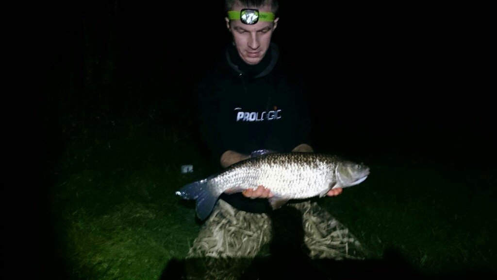 Chub 55