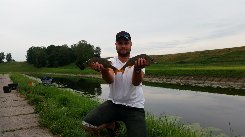 Okonie