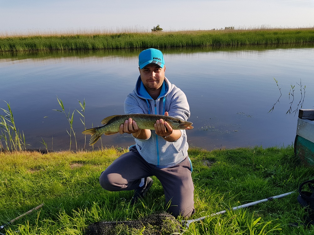 Pike 2018