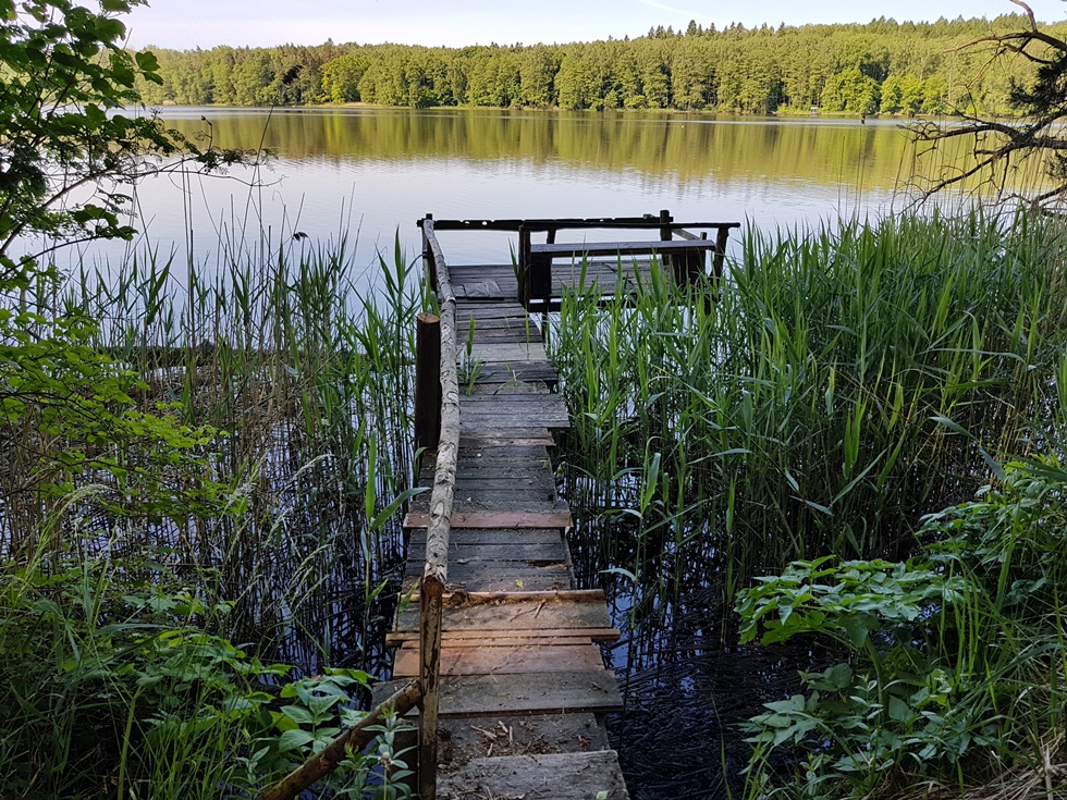 Pierzchaly