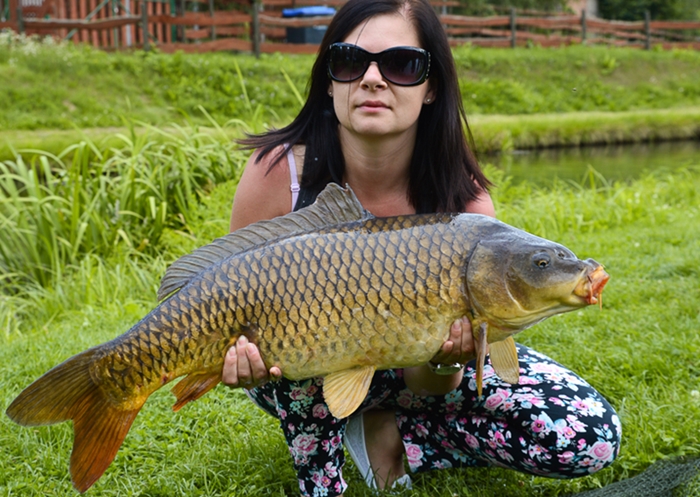 Karp