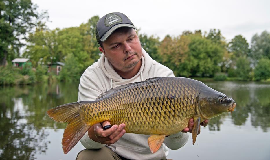 Karp