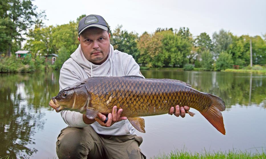 Karp
