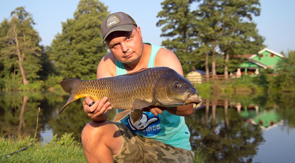 Karp