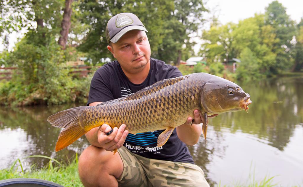 Karp