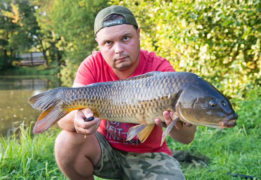 Karp
