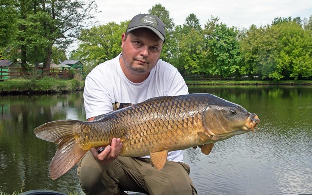 Karp