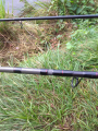 Daiwa N'Zone - 9
