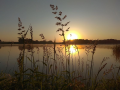 Poranek nad wodą