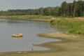 Widoczek znad wody