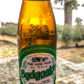 Piwo Bydgoskie 