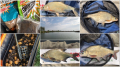 Bobrowe Rozlewisko - 11.05.2019