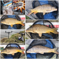 Ostoja Górecka - 27.04.2019