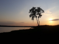Piknik - Ostoja Górecka 2019
