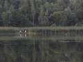 Twardziele