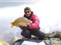 Karp