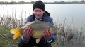 Karp