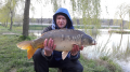 Karp
