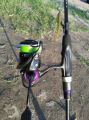 Prorex