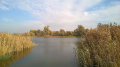 Miejscówka nad jeziorem