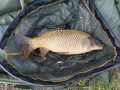 Rakowiec 4