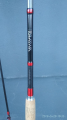 DAIWA PROCASTER TROUT ML 3.30 m 10 - 25 g 1