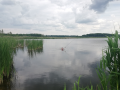 Łowisko Wapnica