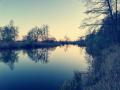 Starorzecze