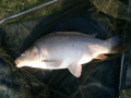 Karp 23.08.2018