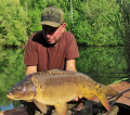 Majowy karp