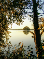 Stawy Milickie jesienią