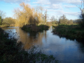 River Itchen 