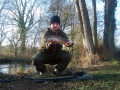 Brown Trout 