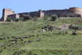 Guadiana