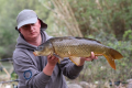 Guadiana