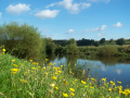 River Wye