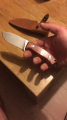 Lionsteel