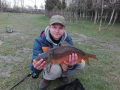 Karp 53 cm 2,5 kg