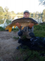  Karp 11 kg