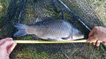 Karpik 2