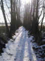 Rów 