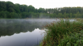 Widok 