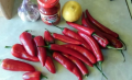 Jalapeno 4