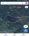 Mapka borki