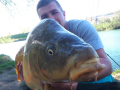 Karp