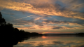 Vistula