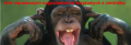 malpanarybach1